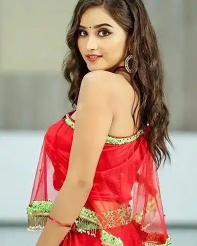 Call Girls Service Harapanahalli
